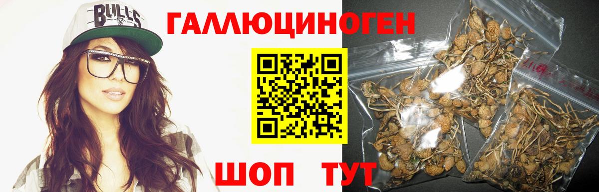 Галлюциногенные грибы мицелий Кудымкар